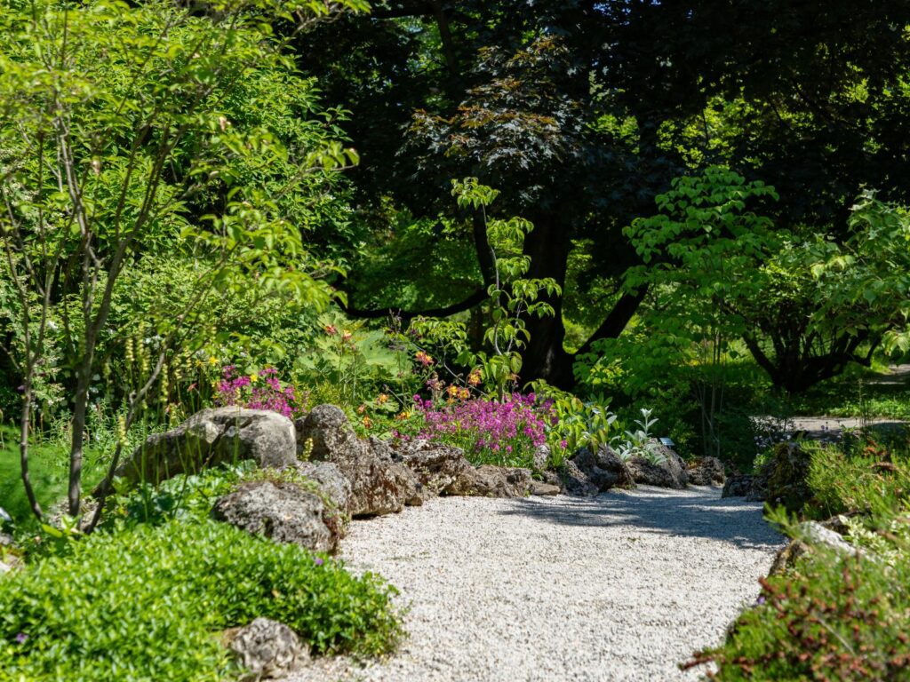 Garden pathway surrounded by greenery in the Royal Botanic Gardens Melbourne.